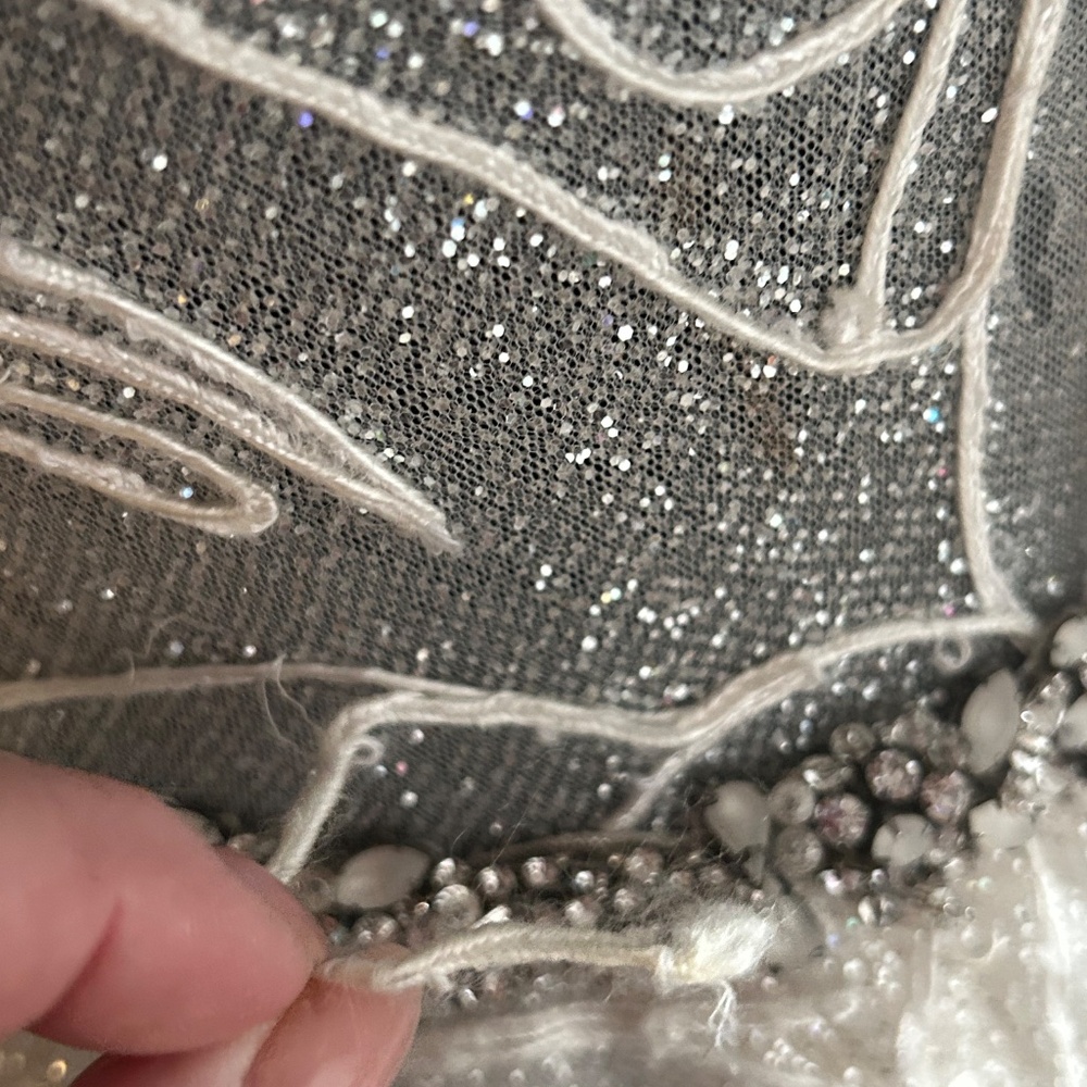 Amalia Carerra Bridal Gown Size 14 - Picture 10 of 16